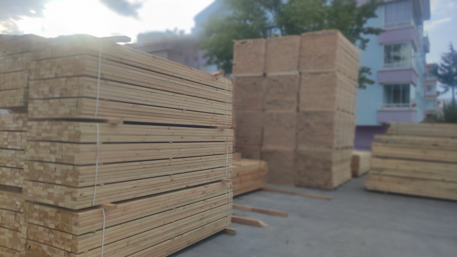 PHOTO-2024-08-26-11-03623-18