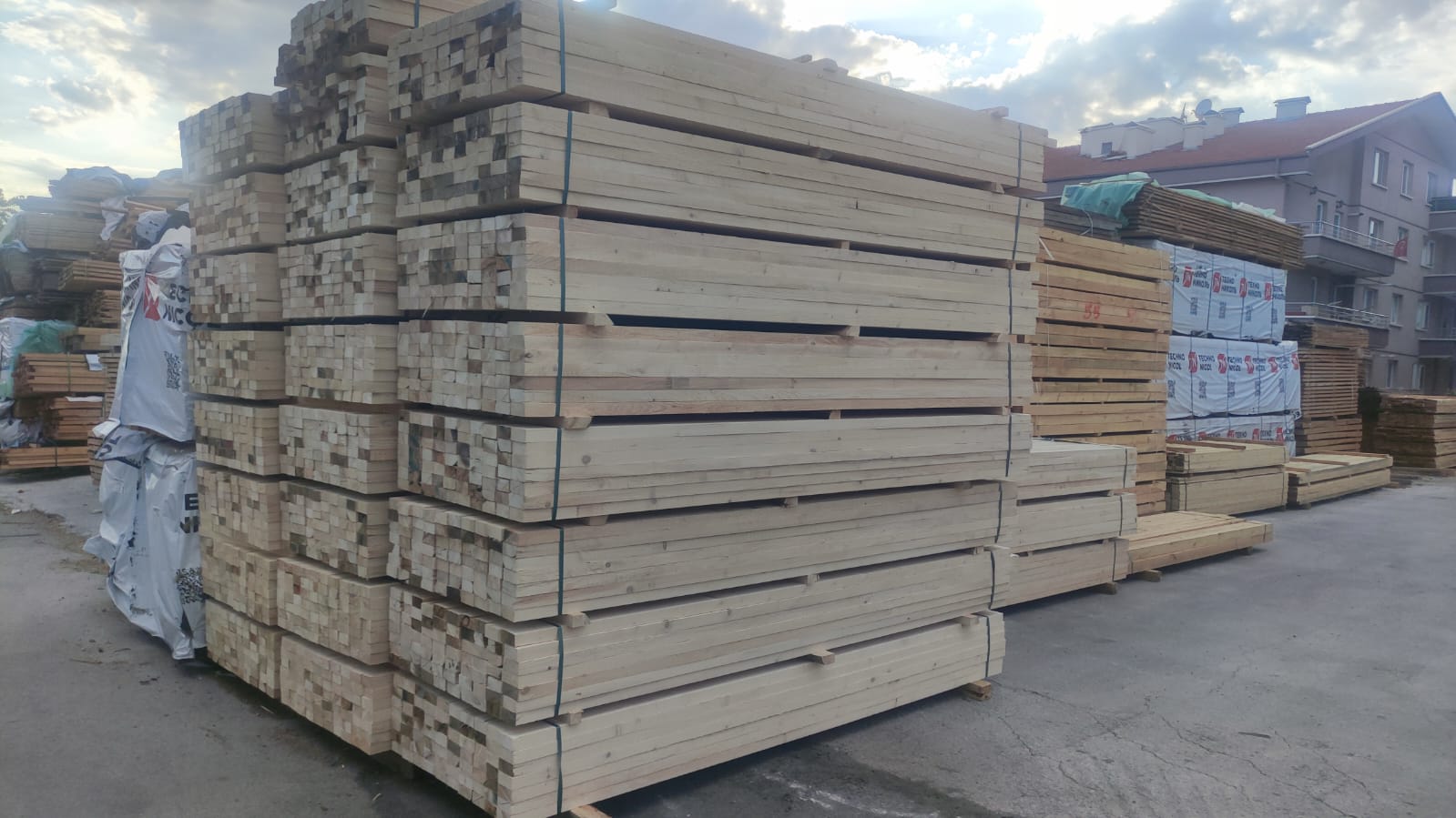 PHOTO-2024-08-26-11-203-18