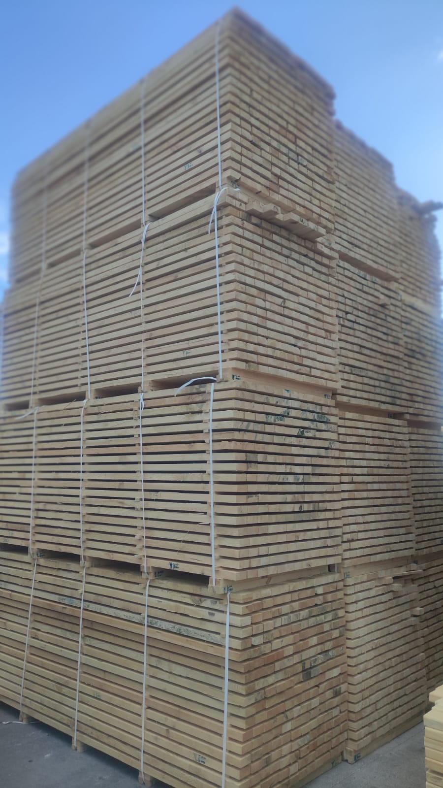 PHOTO-2024-08-26-11-203-19