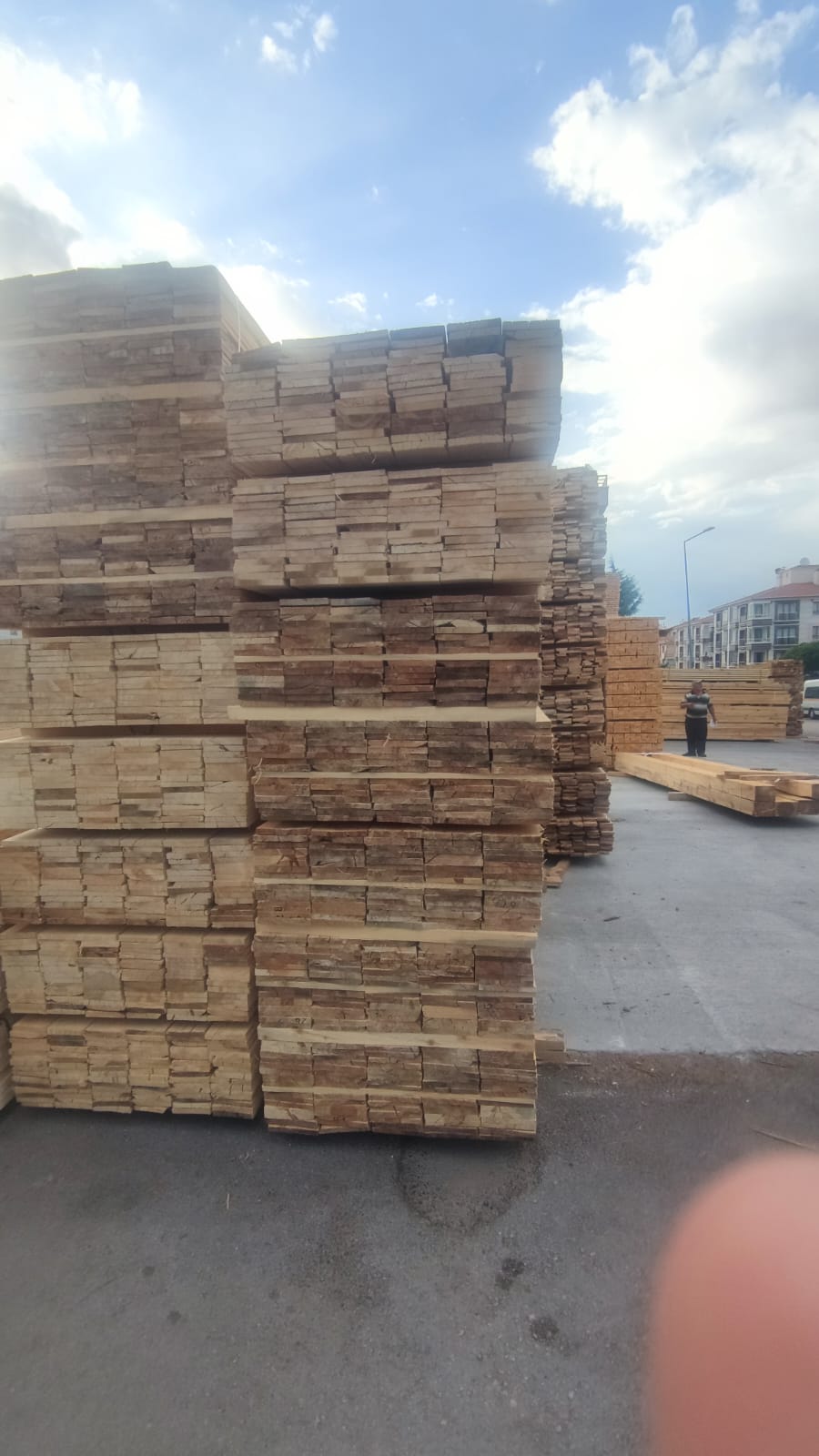 PHOTO-2024-08-26-11-23-1038