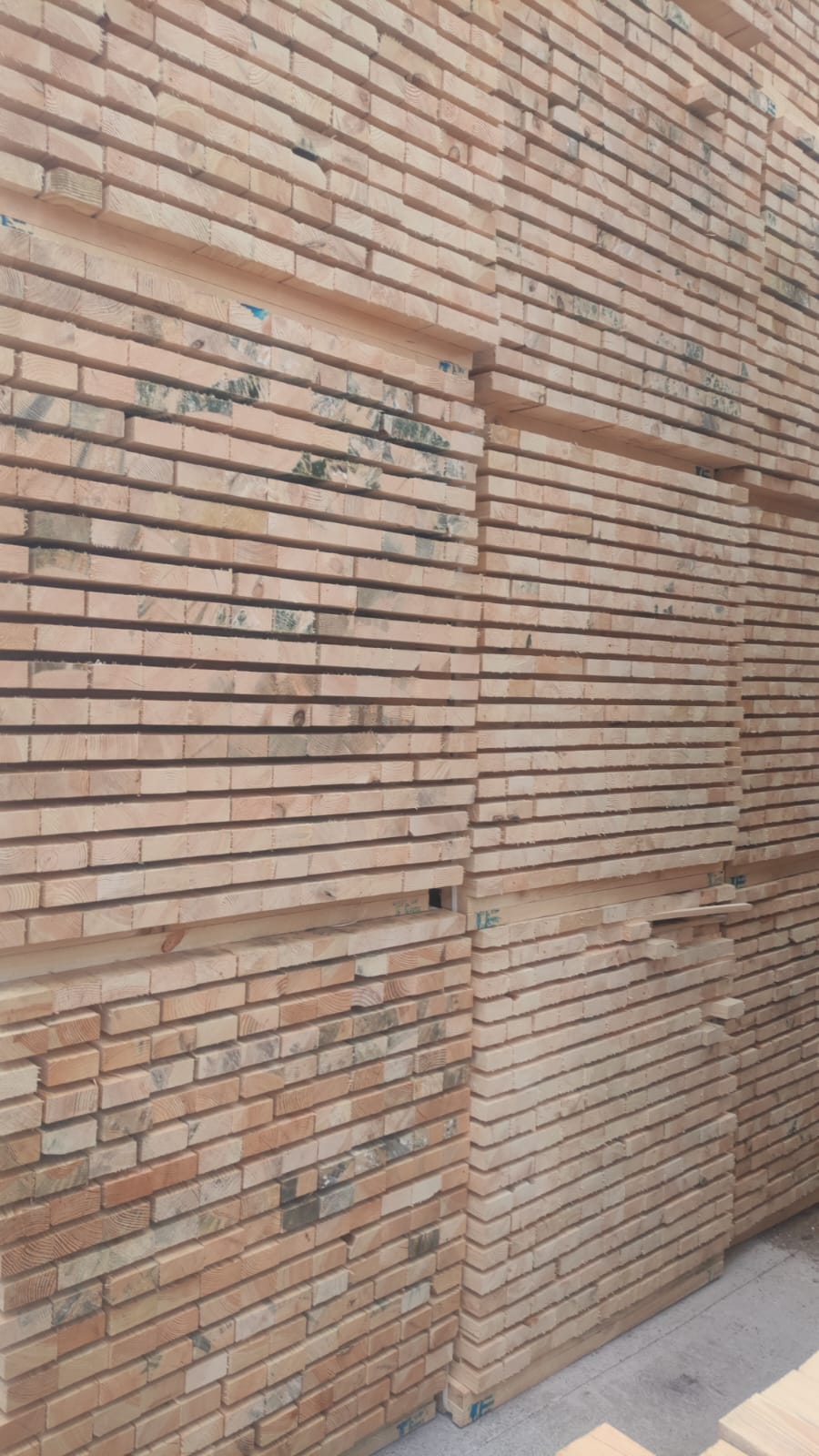 PHOTO-2024-08-26-11-23-19