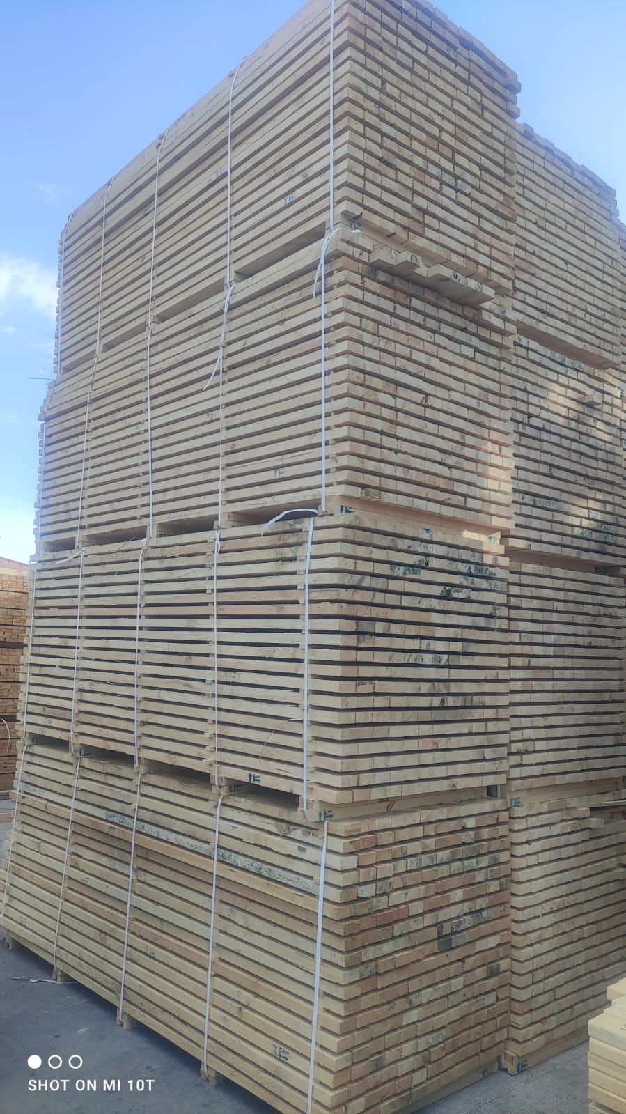 PHOTO-2024-08-26-11025-23-20