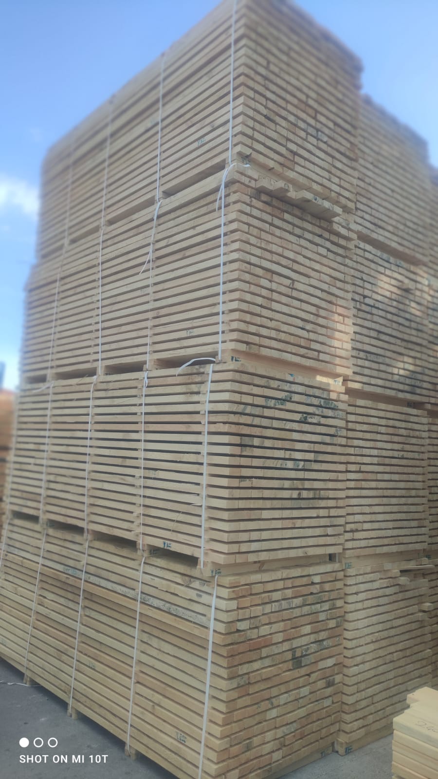 PHOTO-2024-08-26-11056-23-19