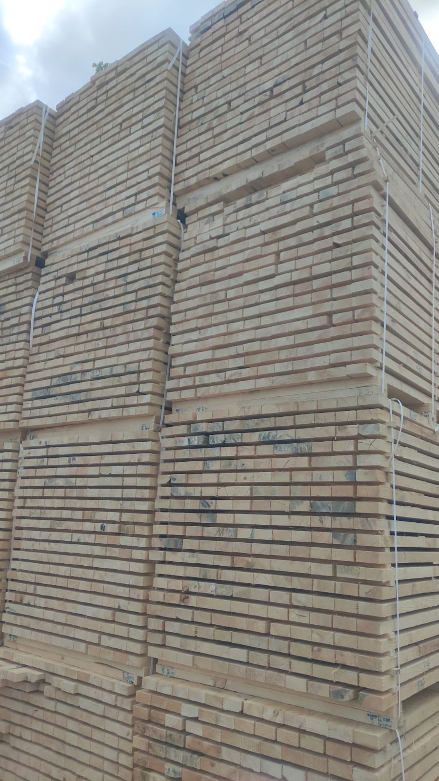 PHOTO-2024-08-260-11-23-19