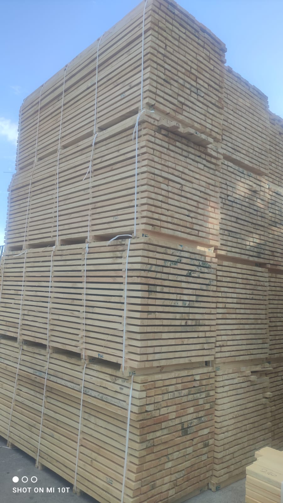 PHOTO-2024-0803-26-11-23-19